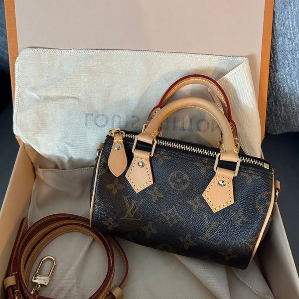 6 Reasons to Buy a Louis Vuitton Speedy Bag 